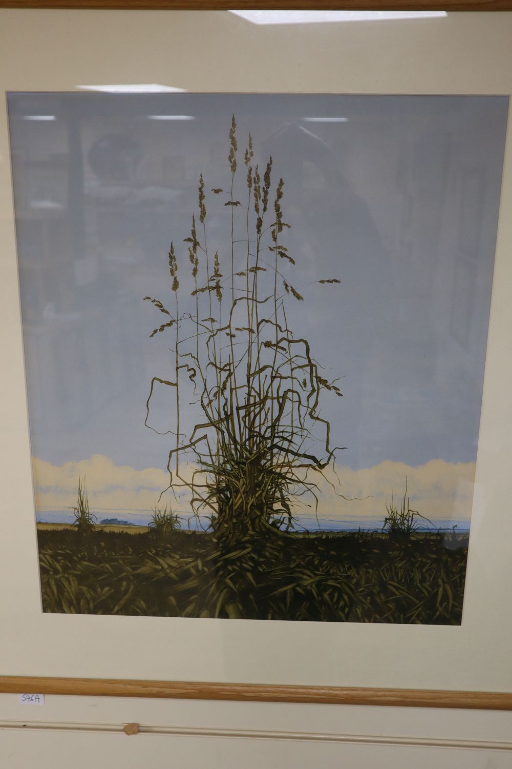 John Ridgewell (b.1937), acrylic on paper, Study of grasses, signed, Abbott & Holder label verso, 55 x 47cm